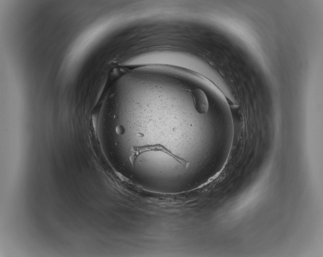 X0000111940146200908031145