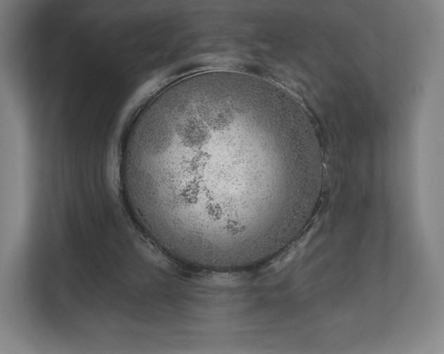 X0000111940149200908031145