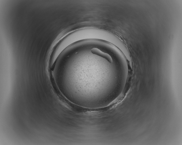 X0000111940150200908031145