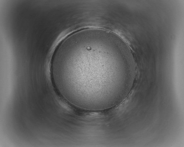 X0000111940151200908031145