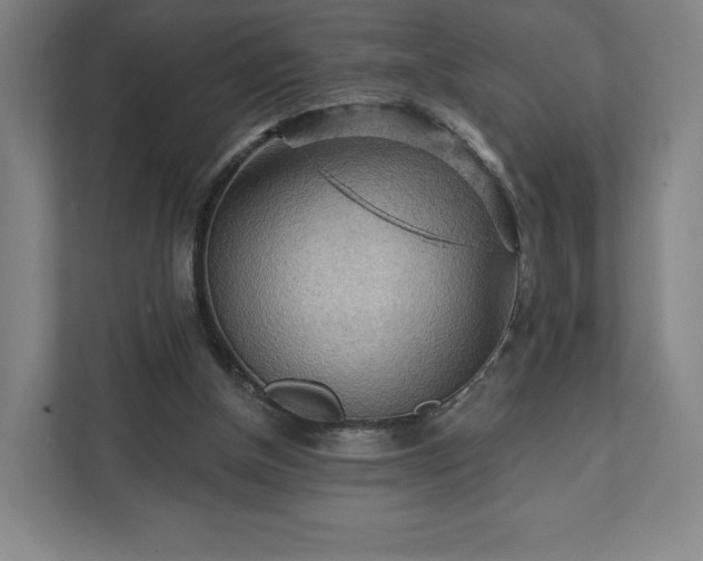 X0000111940154200908031145