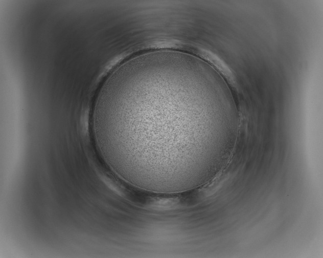 X0000111940155200908031145