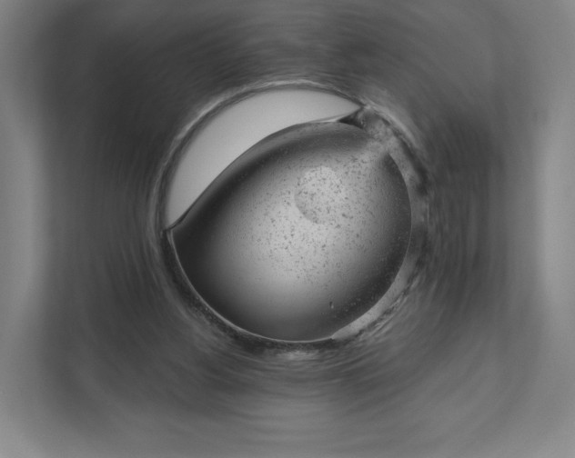 X0000111940156200908031145