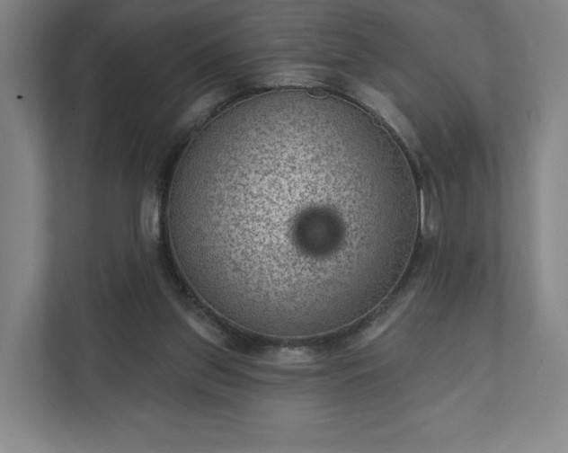 X0000111940157200908031145