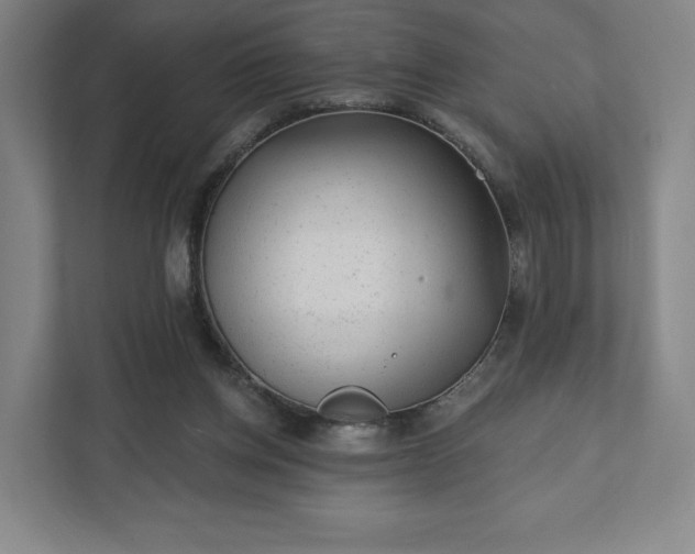 X0000111940158200908031145