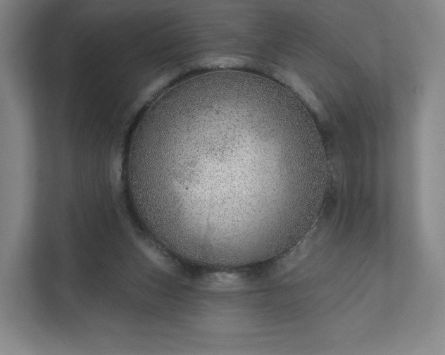 X0000111940159200908031145