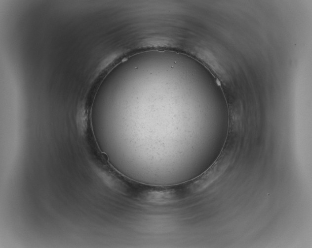 X0000111940160200908031145