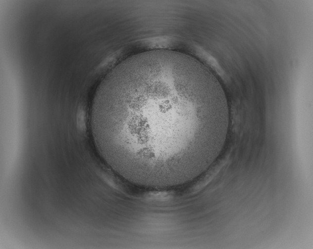 X0000111940161200908031145