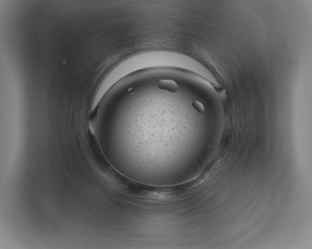 X0000111940164200908031145