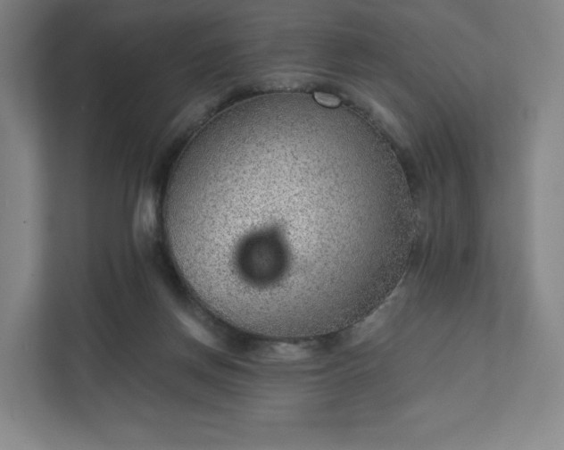 X0000111940166200908031145