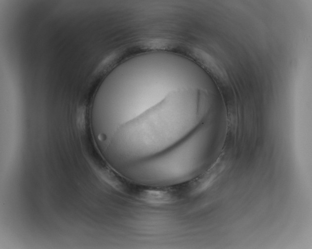 X0000111940167200908031145