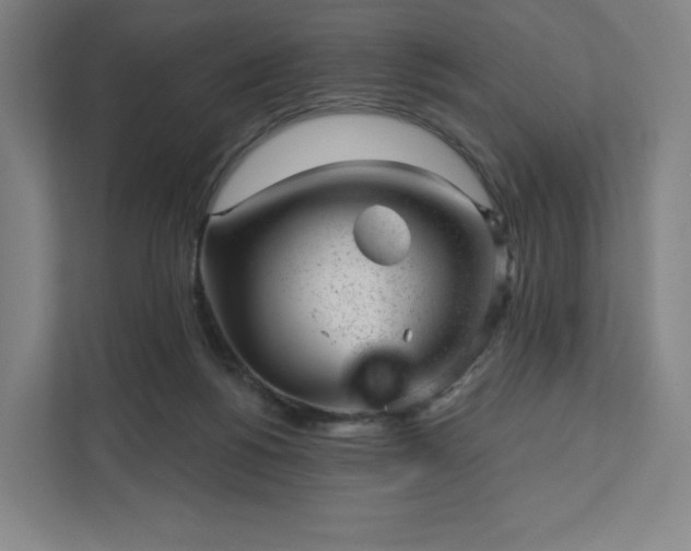 X0000111940168200908031145