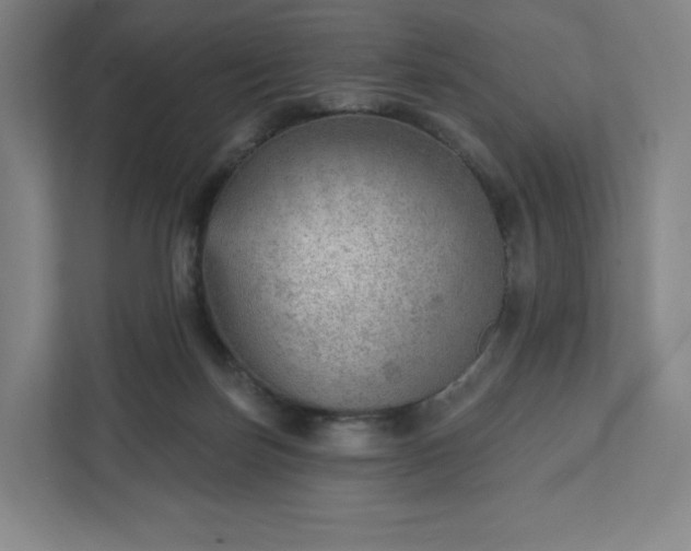 X0000111940171200908031145