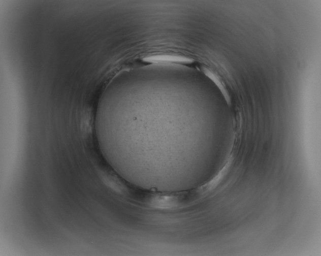 X0000111940174200908031145