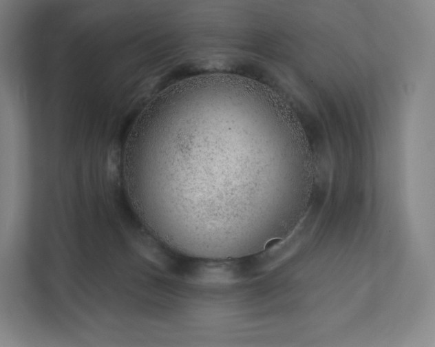 X0000111940175200908031145