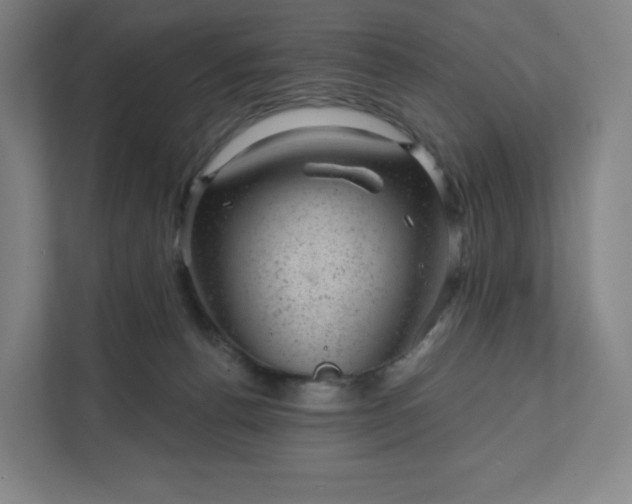 X0000111940176200908031145