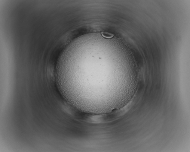 X0000111940178200908031145