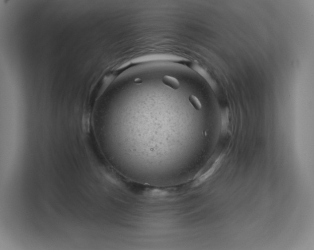 X0000111940180200908031145