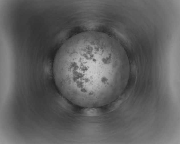 X0000111940181200908031145