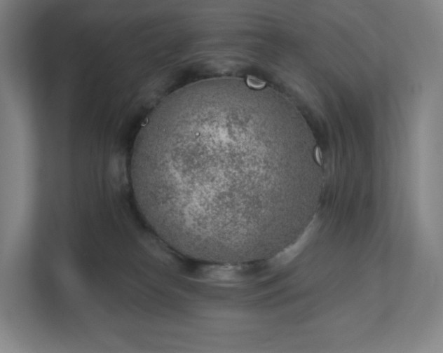 X0000111940182200908031145