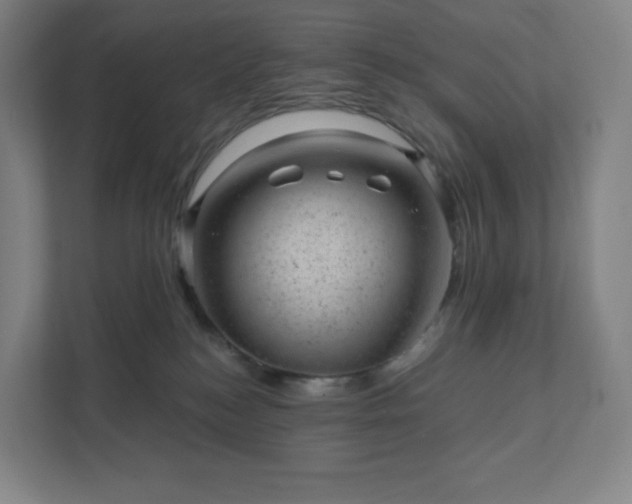 X0000111940184200908031145