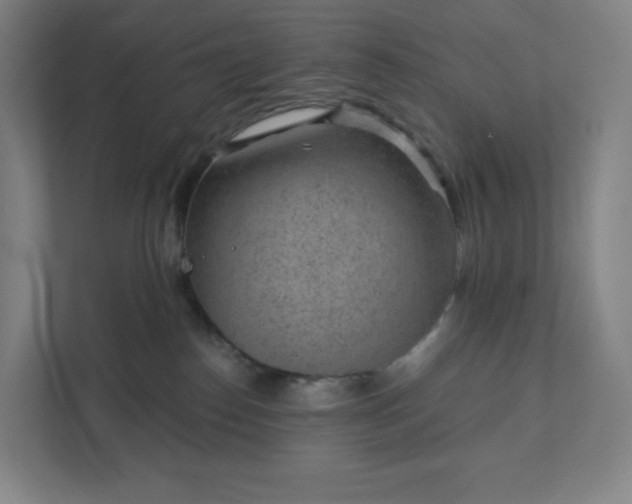 X0000111940186200908031145