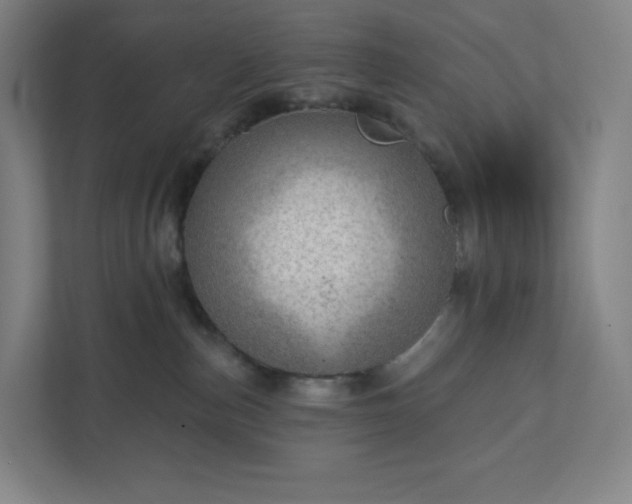 X0000111940187200908031145