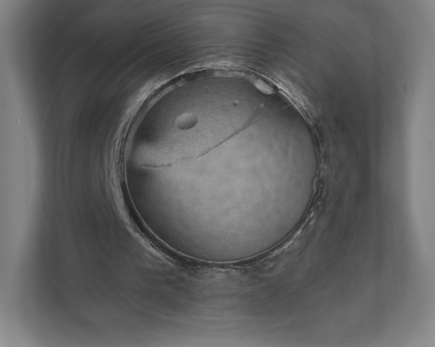 X0000111940193200908031145