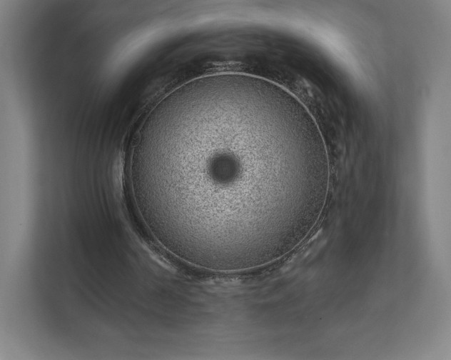 X0000111940194200908031145