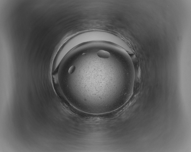 X0000111940195200908031145