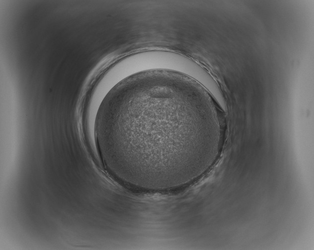 X0000111940197200908031145