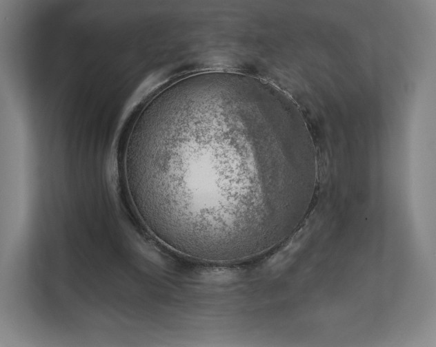 X0000111940198200908031145