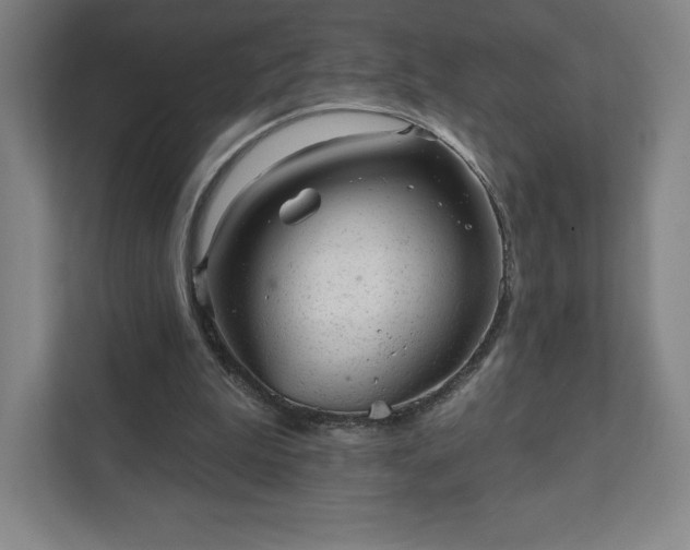 X0000111940199200908031145