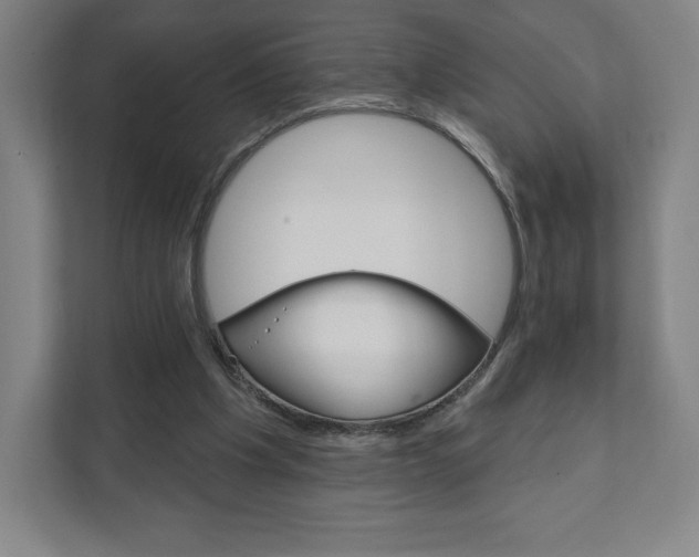 X0000111940201200908031145