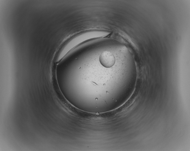 X0000111940203200908031145