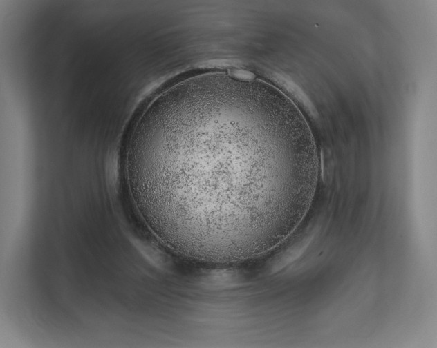 X0000111940204200908031145