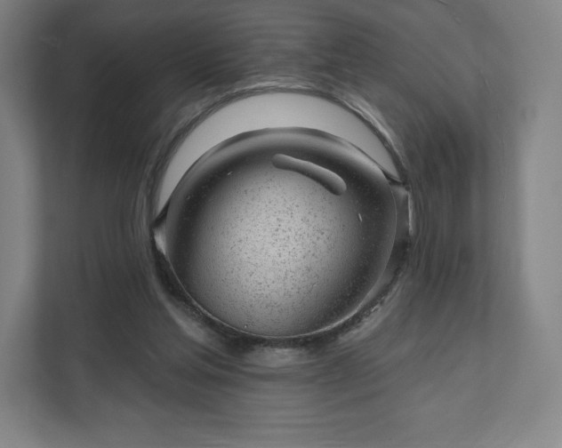 X0000111940205200908031145