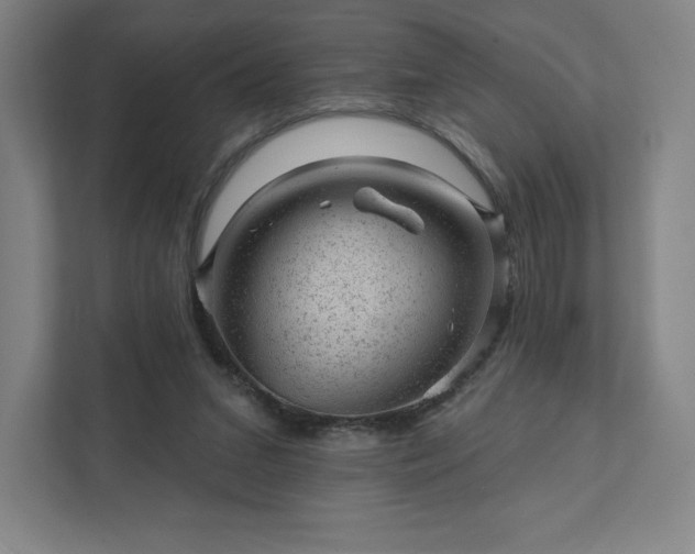 X0000111940207200908031145