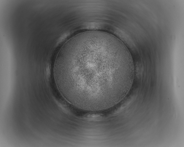 X0000111940208200908031145