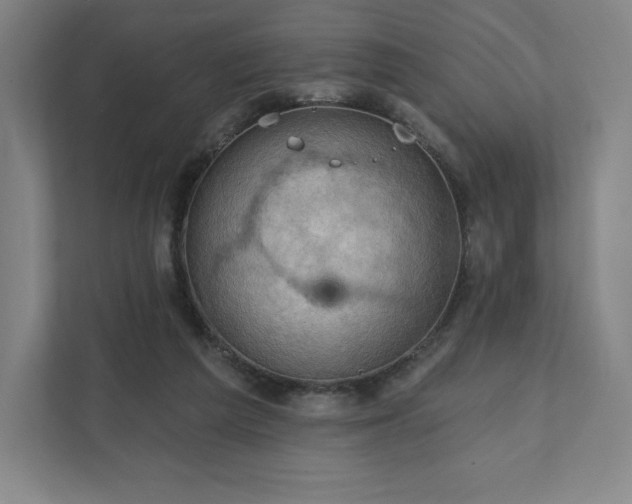 X0000111940209200908031145