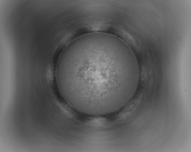 X0000111940210200908031144