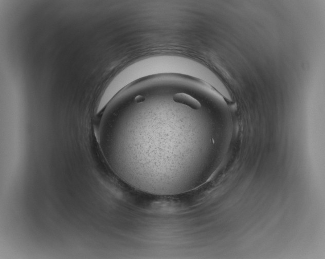 X0000111940211200908031144