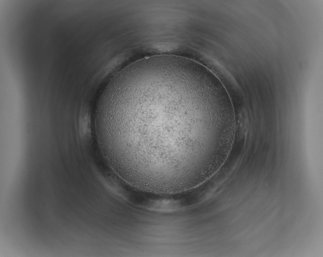 X0000111940212200908031144