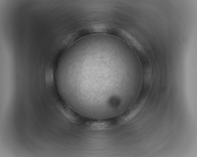 X0000111940213200908031144