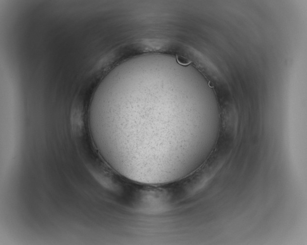 X0000111940215200908031144