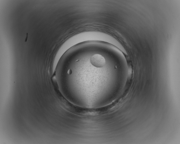 X0000111940217200908031144