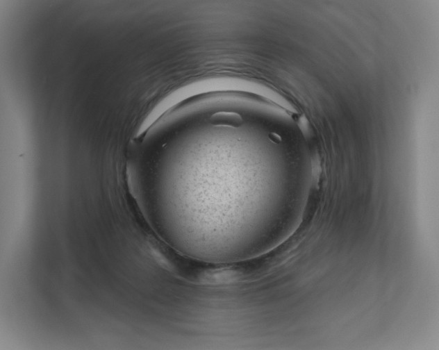 X0000111940219200908031144