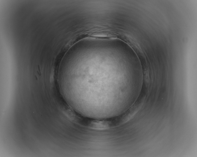 X0000111940221200908031144