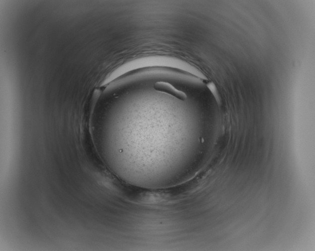 X0000111940223200908031144