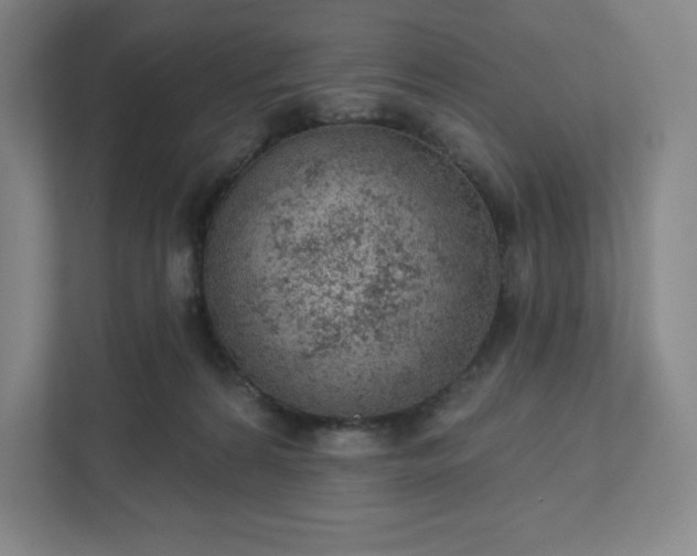 X0000111940224200908031144